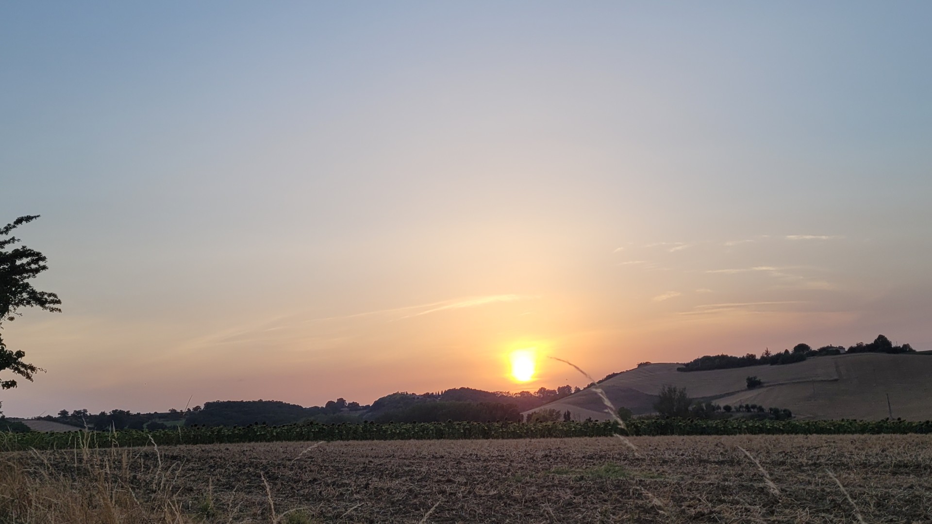Remplacement dans le Tarn août 2026