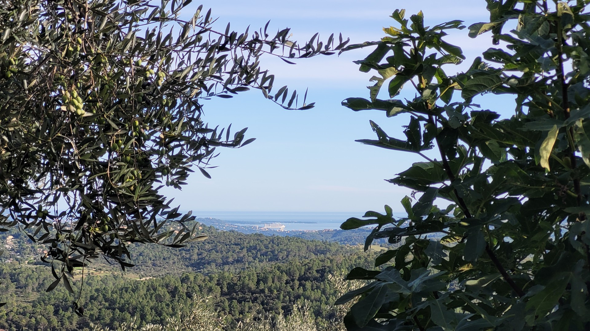 Remplacement dans les Alpes-Maritimes octobre 2024